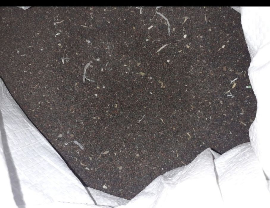 Sământa de varză de Buzău