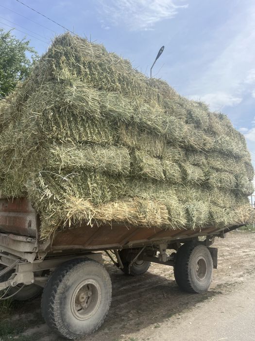 Продам разнотравье