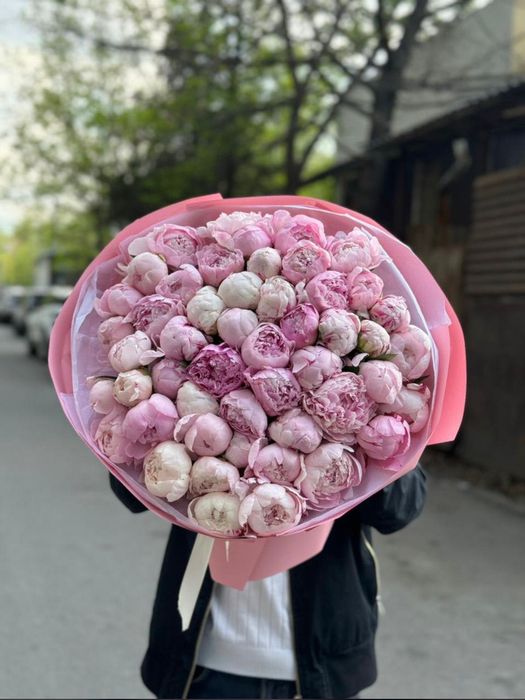 Голландские пионы