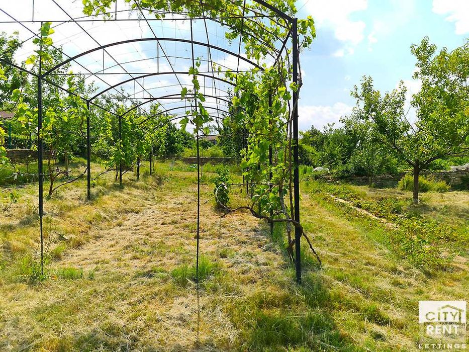 Дава се под наем Къща в с. Пушево, Област Велико Търново - 172 кв.м за 700 € - Снимка #21