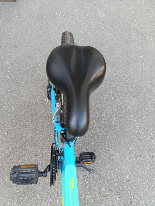 Bicicleta Pegas copii 24 cm