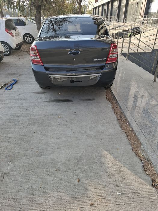 Кобилт 2019 йил радной краска