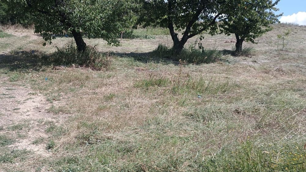 Teren intravilan Chicerea 3000mp