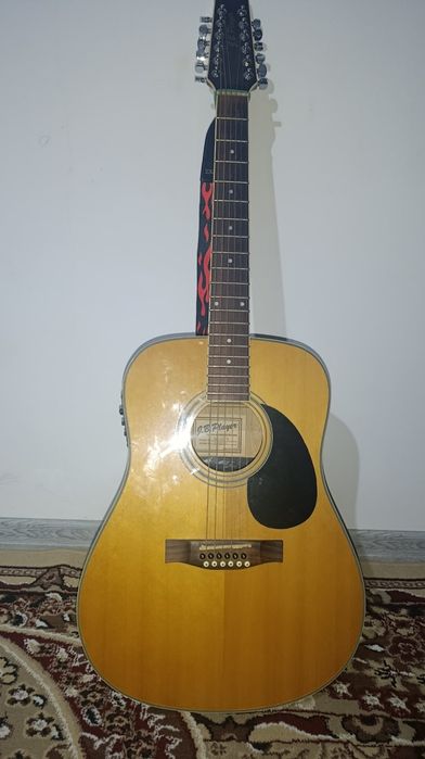 12 струналы электроакустическая