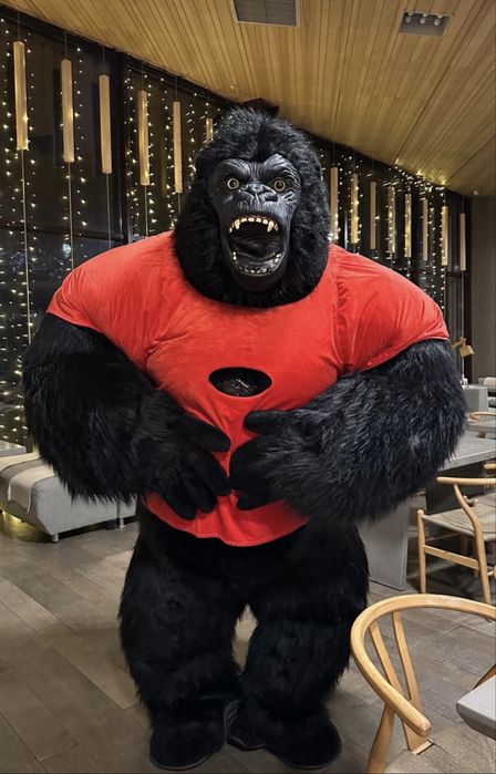 Кайрат Нуртас/Меладзе/Артур/Андрей жуков/горилла/тедди/зайка/аллегрова