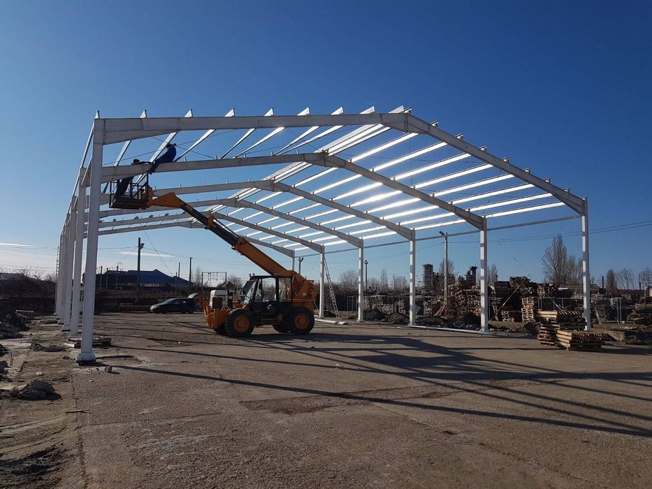 Vand hala metalica 10 x 25 din europrofile