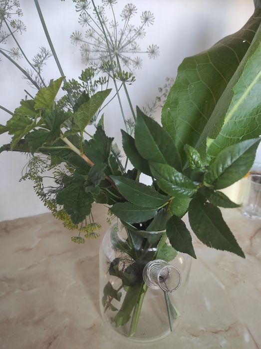 Зелень для засолки