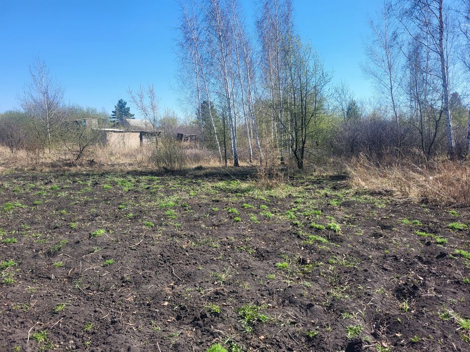 Продам срочно участок в Тихой роще