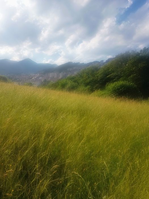 Продава се Парцел в Смолян, Стар център - 6800 кв.м за 29 €/кв.м - Снимка #1