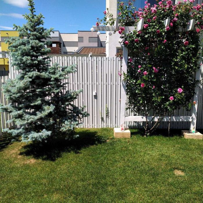 ПРОМОЦИЯ - Метална ограда, ограда за двор, оградка