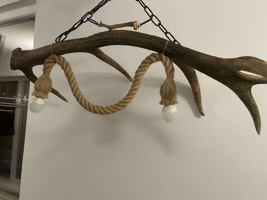 Полилей от масивен рог