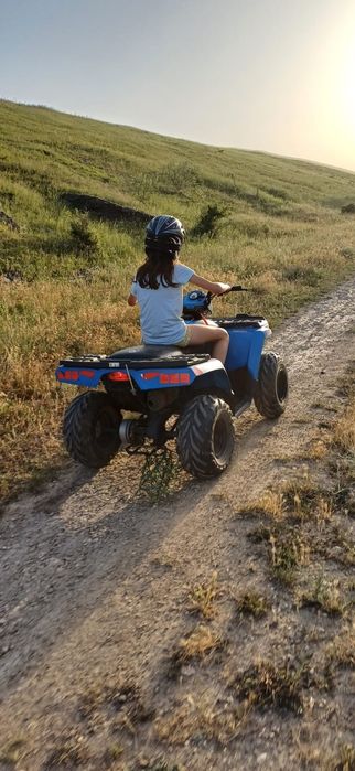 ATV Polaris Sportsman 110