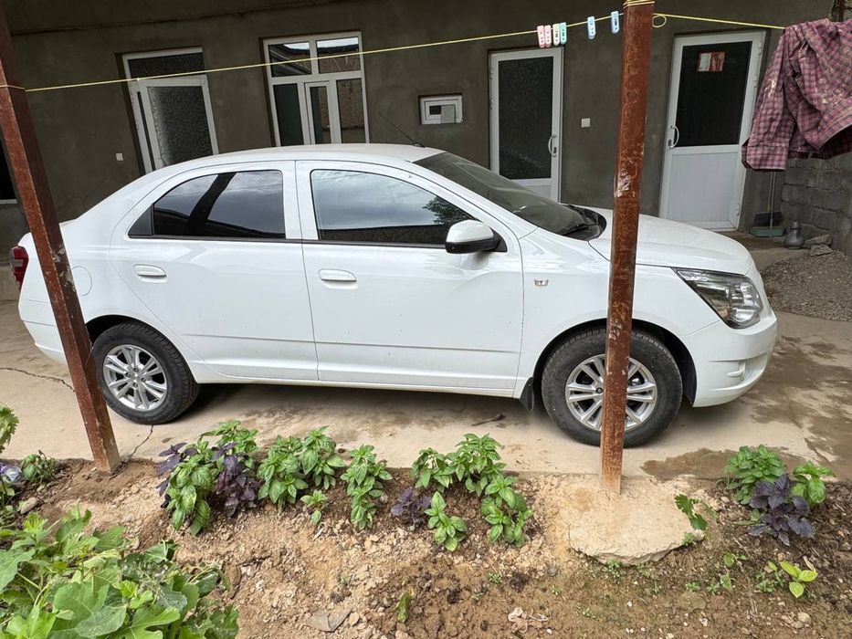 Cobalt sotladi srochni yili 2024