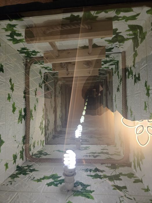 De vanzare masa infinita tapitata