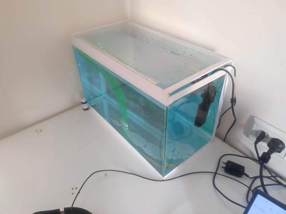 Akvarium 40 litrlik