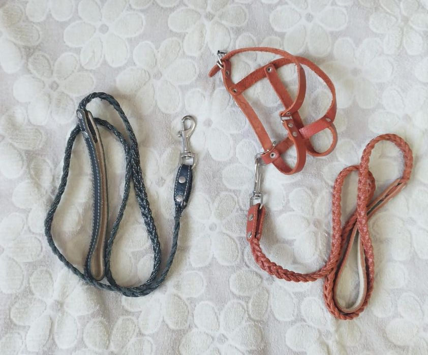 Продам 2 кожаных поводка, оба по длине 1.5 метра, могу привезти.