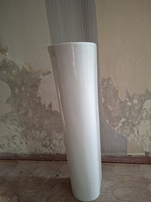 Тюльпан раковина