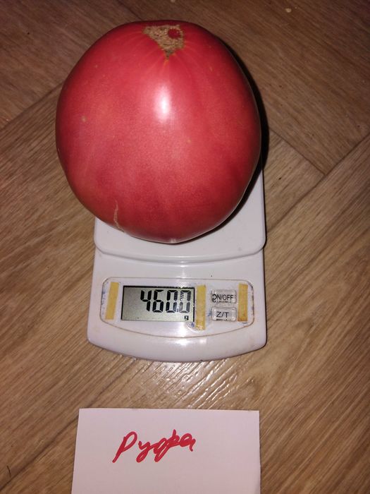 Семена за домати 2