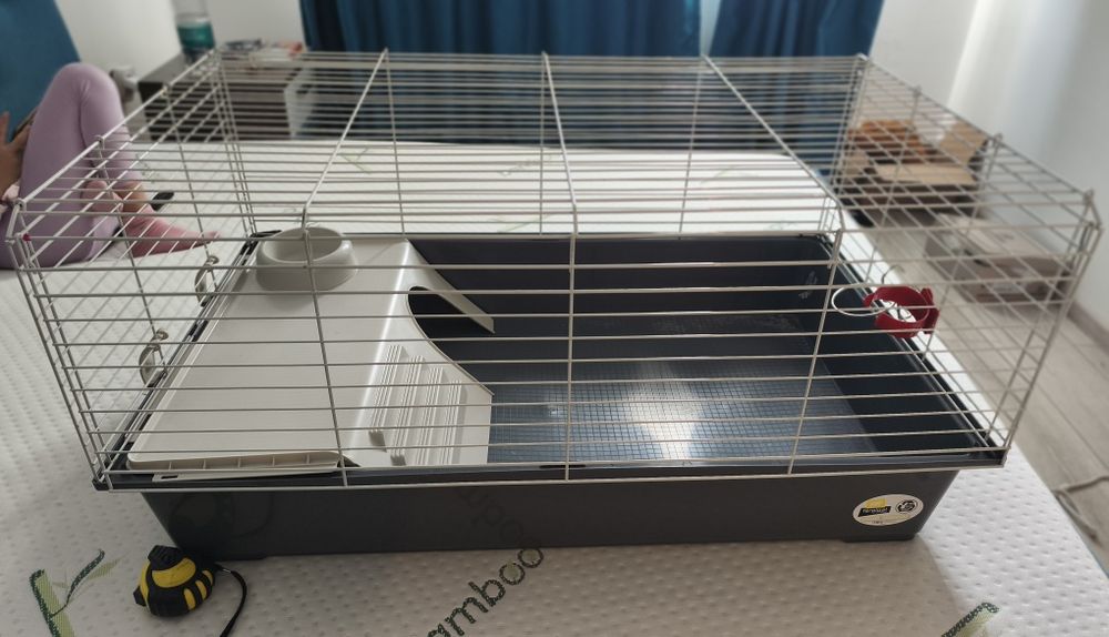 Cușcă animale companie