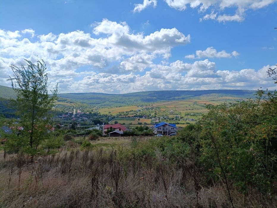 Teren intravilan 500 mp – Tomești, Chicerea – utilități, parcelat