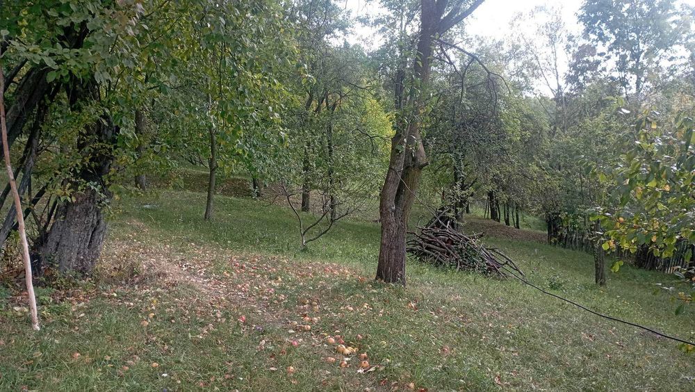 Casa batraneasca cu teren livada intravilan/extravilan 9032mp