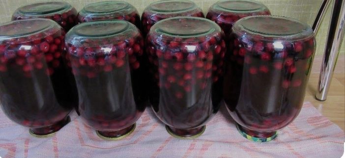 Компот вишневый домашний