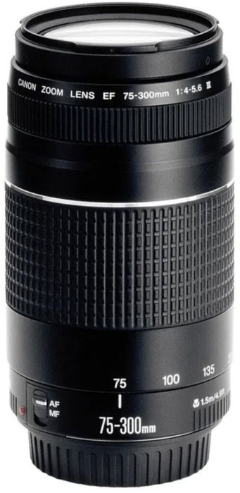 Объектив canon 75x300