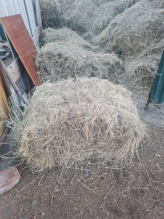 Продаётся сено в тюках