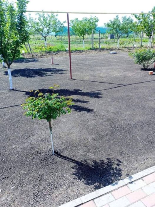 Săpat cu motocultorul amenajez grădini semăn gazon sosesc cu motocosit