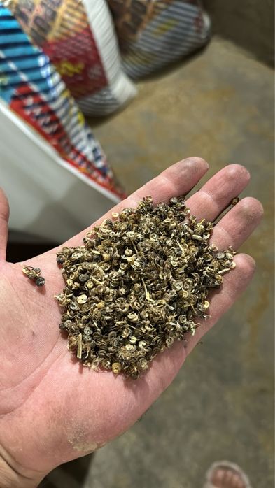 Корм для овец и баранов