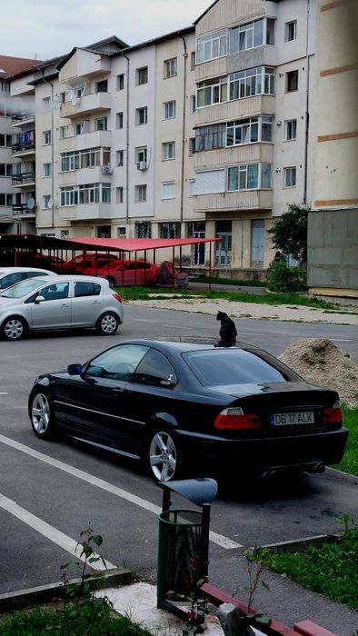 BMW 3 Series 2004 — imagine 5