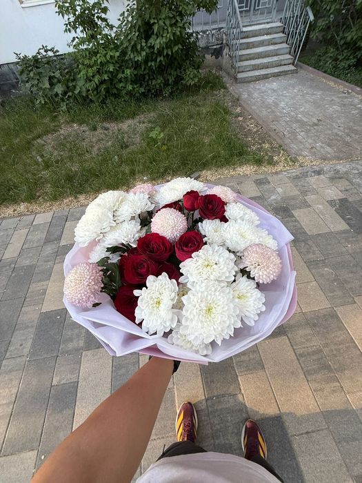 Цветы хризантемы с момокой