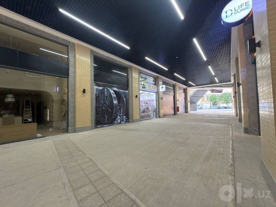 Алфраганус 56 метр кв 120000$