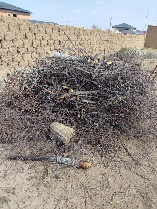 Отын сатылады бұталған