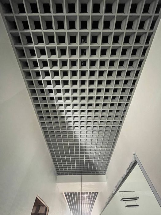 Grilyato Reychniy Grilant