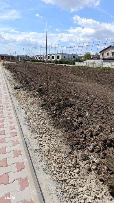 Bragadiru Plevnei
