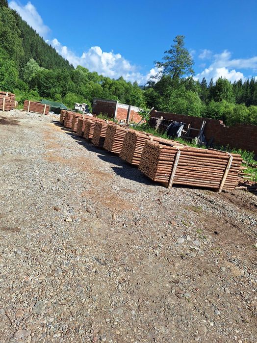 Bile-manele,stalpi rasinoase