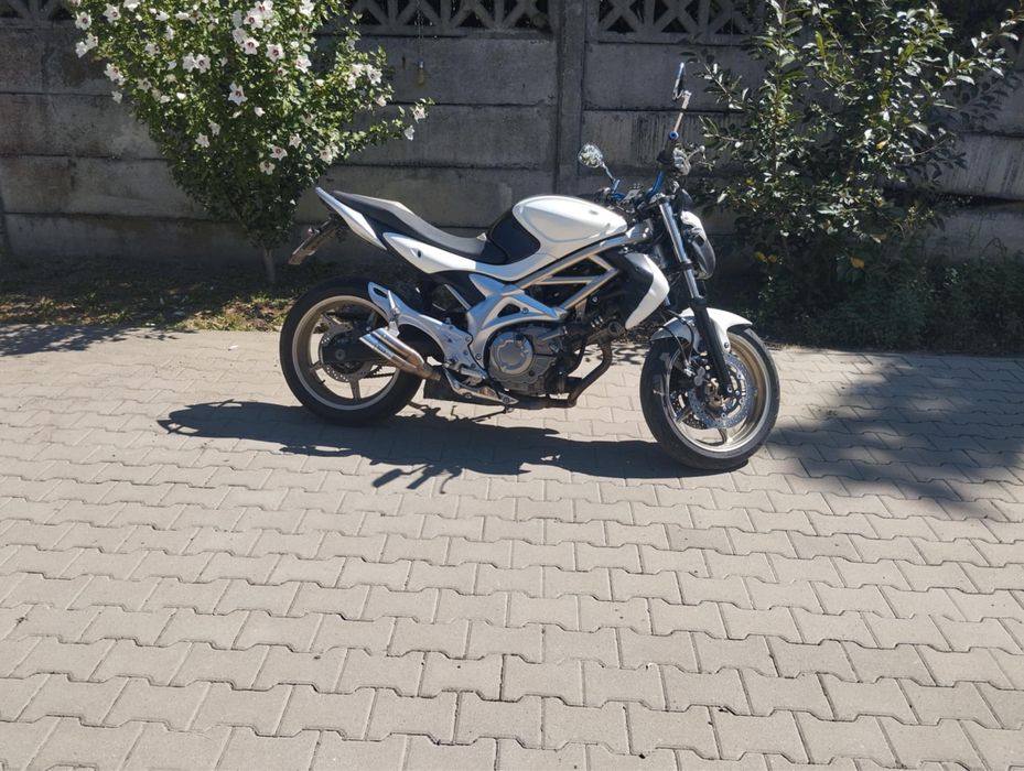 Suzuki SFV 650 Gladius