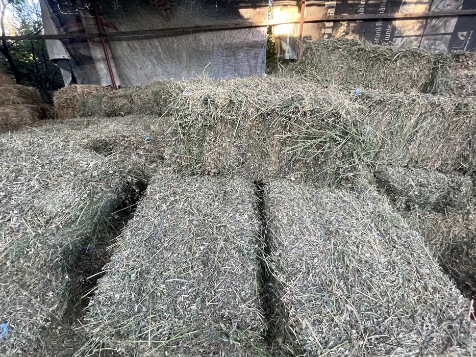 Baloti lucerna   coasa a 4a 25 kg, fan