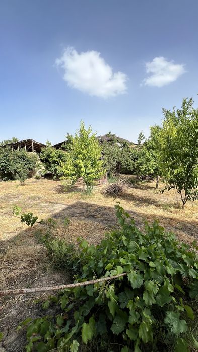 Участок сотилади 6 соток