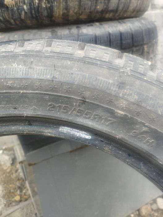 Сайлунг Шинии Китаи