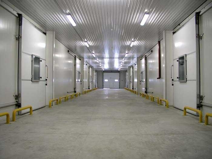 Аренда холодильных камер