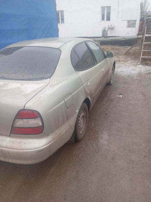 Арзан Багдада саьылады