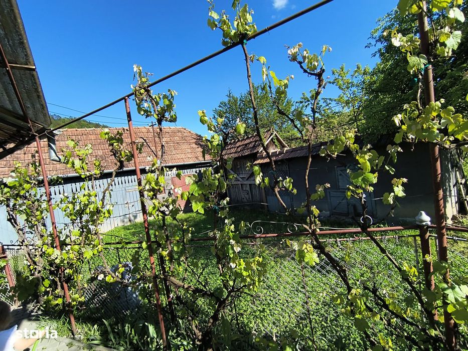 Casă de vânzare. Liniște, natură, confort, la doar ~20 minute de Tg MS