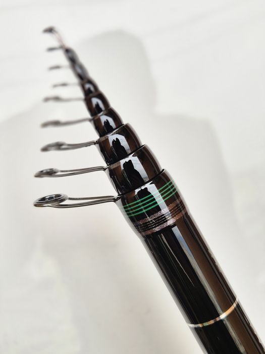Болонезе Daiwa Amorphous Infinity 6m regular