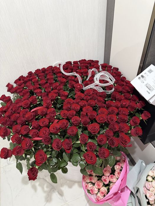 Гүл 201 роза свежий срочно