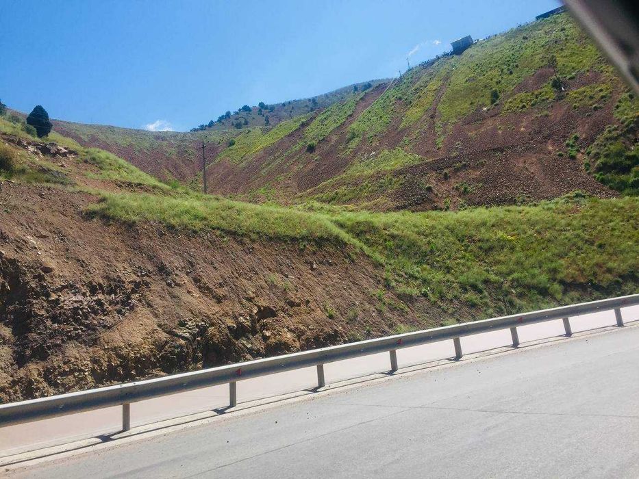 Toglarda reklama joylash xizmatlari.