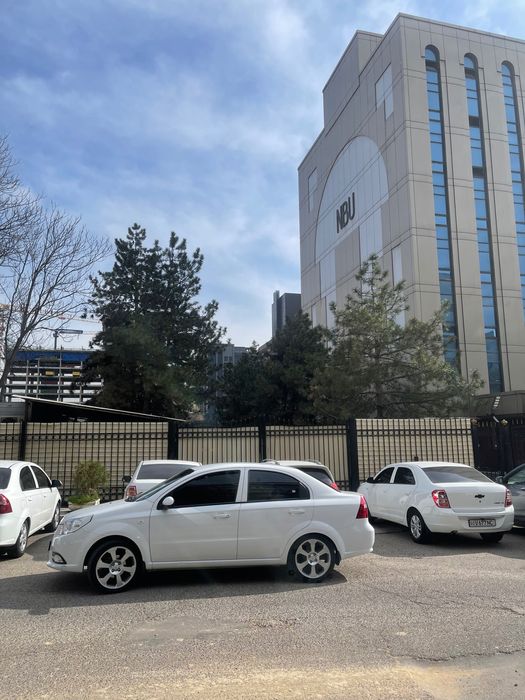 Jentra 17 Diska Balon