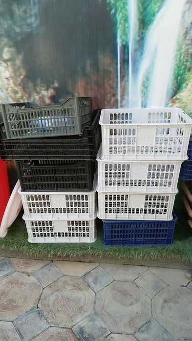 Ящик Ящики Пластмассовые Кутича Тара Идиш Доставка