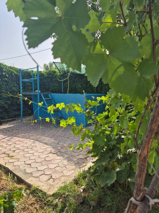 Сдается дача на Шубарсу